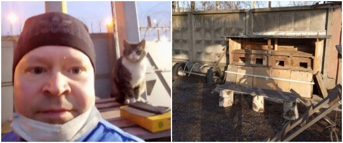 Охранник завода в Петербурге попытался расследовать пропажу любимых кошек и лишился работы