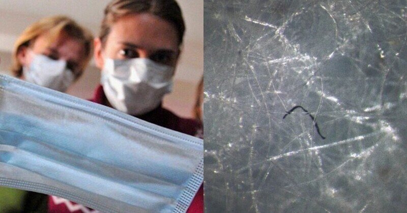"Они шевелятся!": немцы вооружились микроскопом и рассмотрели подноготную медицинской маски