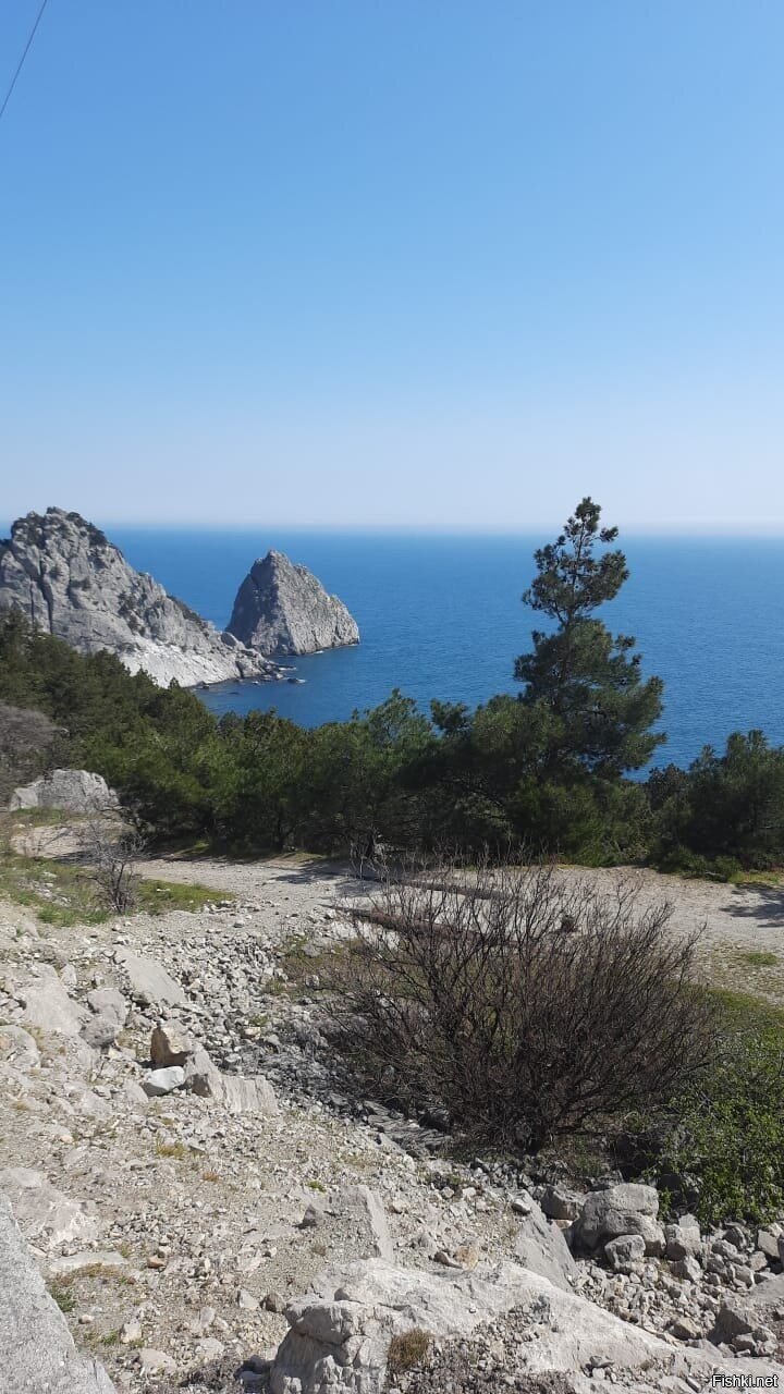 Привет из Крыма