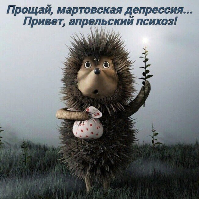 О политике и не только
