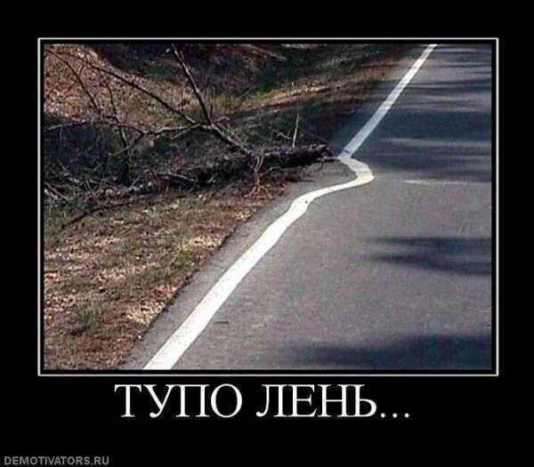 О политике и не только