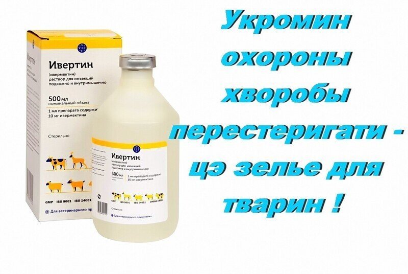 Самое обидное, что никогда не понять,  это Киев так справляется с нуждой или справляет её