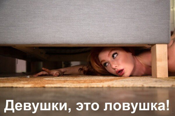 О Политике и не только