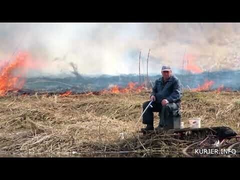 В соцсетях обсуждают видео с невозмутимым рыбаком посреди горящего поля