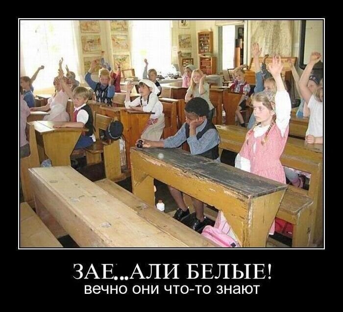 Юмор, сатира, цитаты, всё из жизни и ситуаций