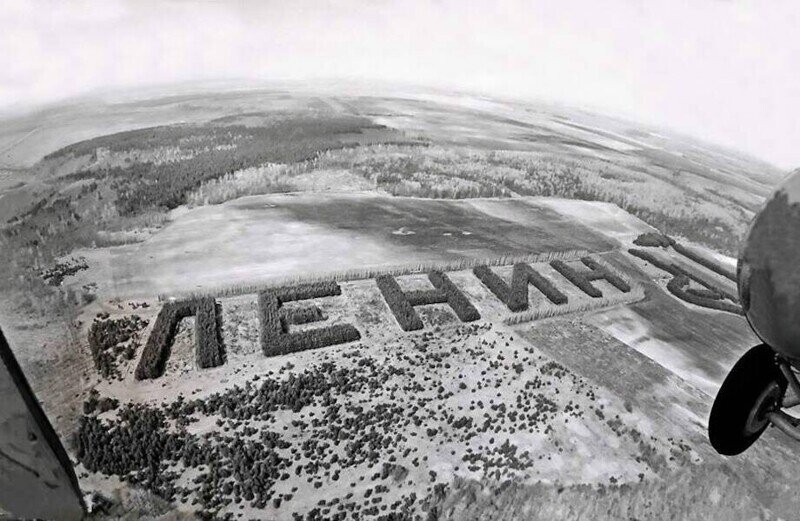 Как в СССР создавали леса в форме слов