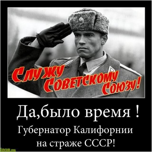О политике и не только