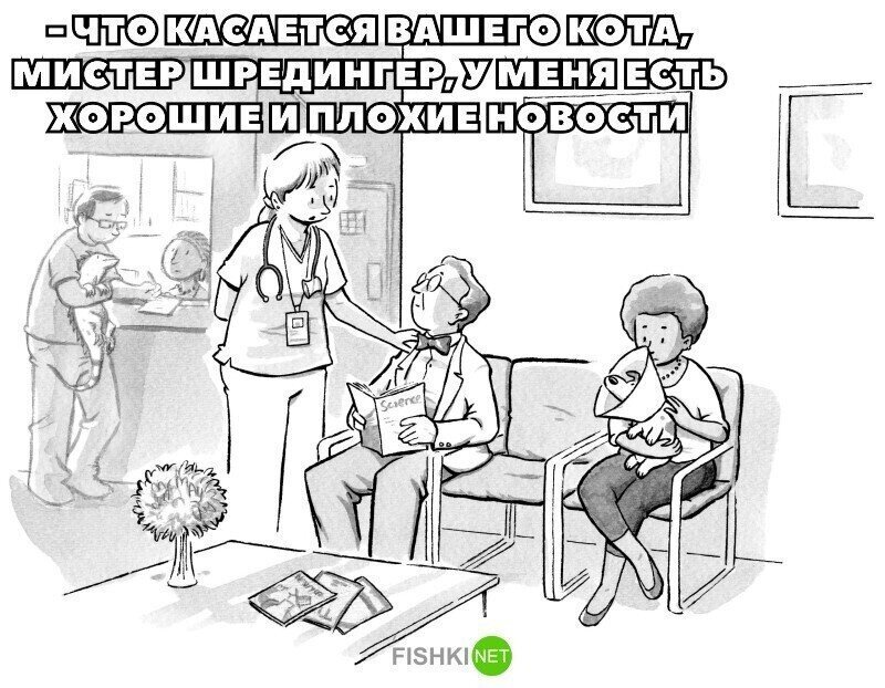 Жалко котика