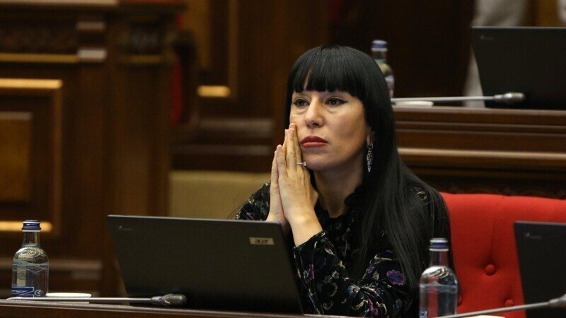 Депутат от Армении в ПАСЕ обвинила европейцев в антироссийской истерии по «делу Навального»