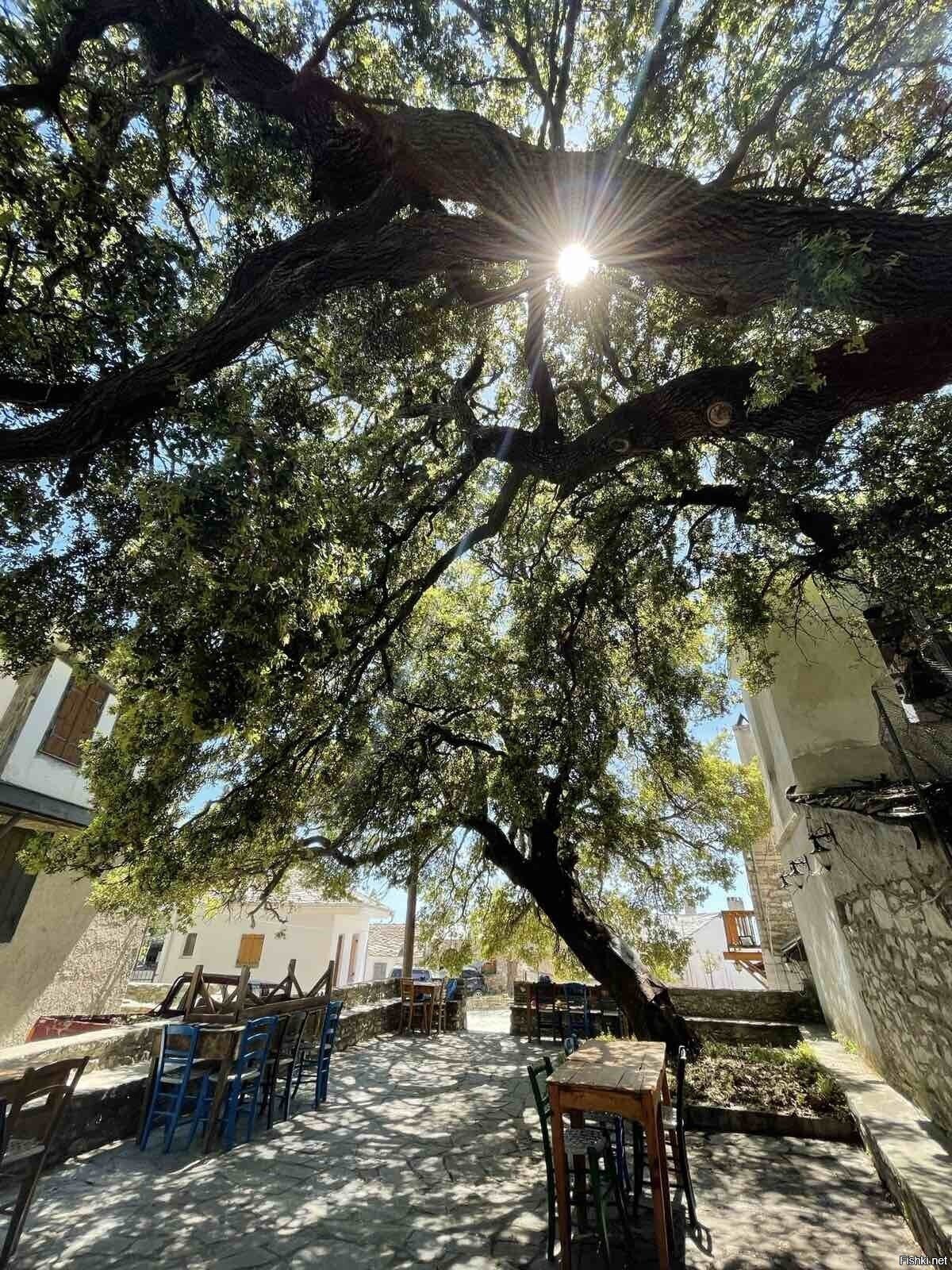 Греция, остров Тассос