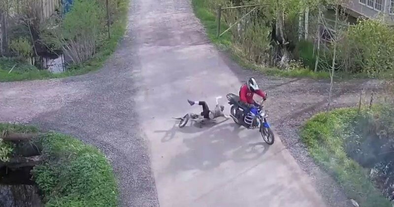 В дачном поселке под Питером мотоциклист сбил ребёнка на велосипеде и уехал