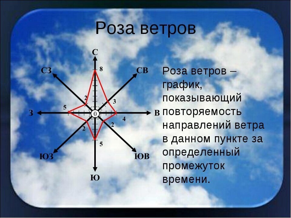 Роза ветров: как метеорологический термин получил свое необычное название?