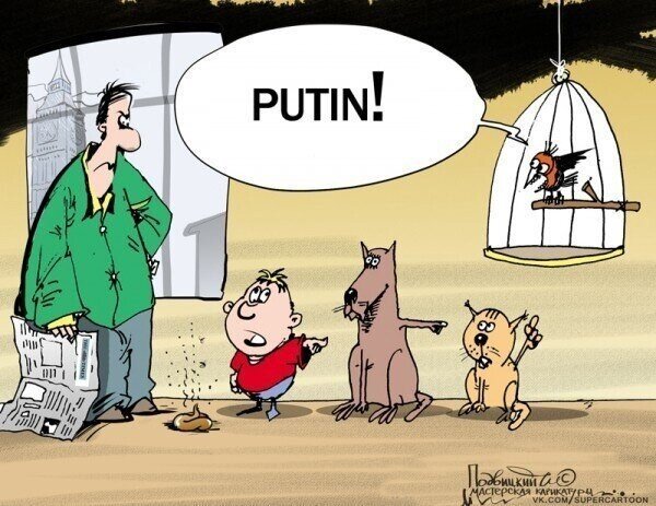 О политике и не только