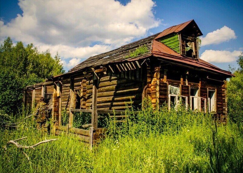 остановите Кошкину....пожалуйста