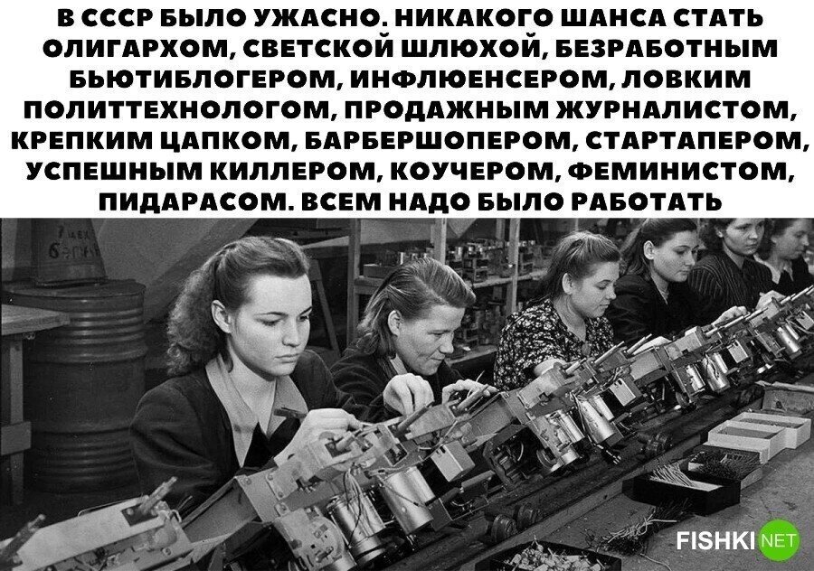 Бесперспективняк
