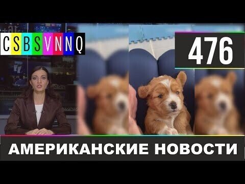 Американские новости 476