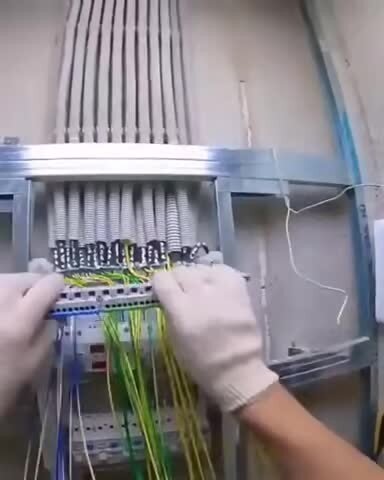 &quot;Линух&quot; за работой, жаль Ленка не увидит, наверняка бы вернулась