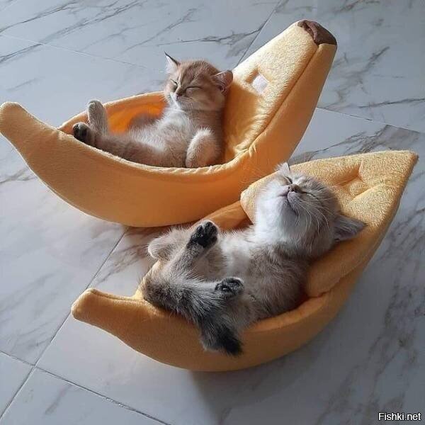 короче, я спать