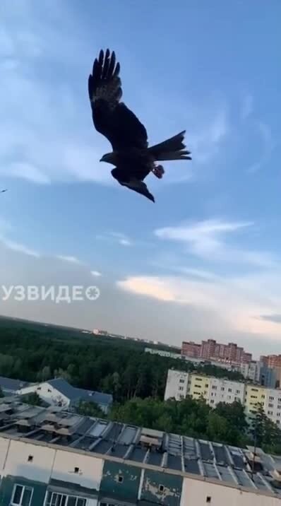 Дозаправка в воздухе