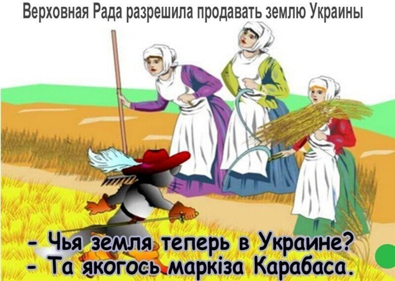 О политике и не только