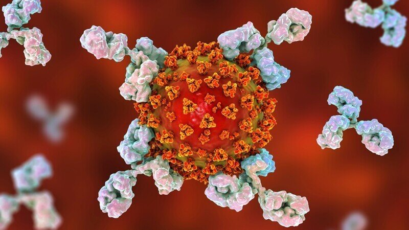 Просто о вирусной иммунологии