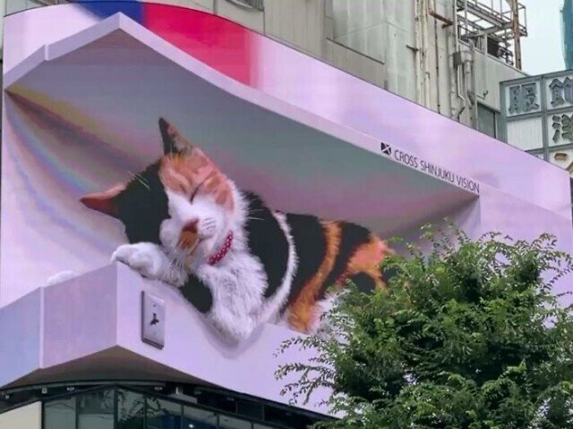 На одном из зданий в Токио появилась гигантская гиперреалистичная трёхмерная кошка