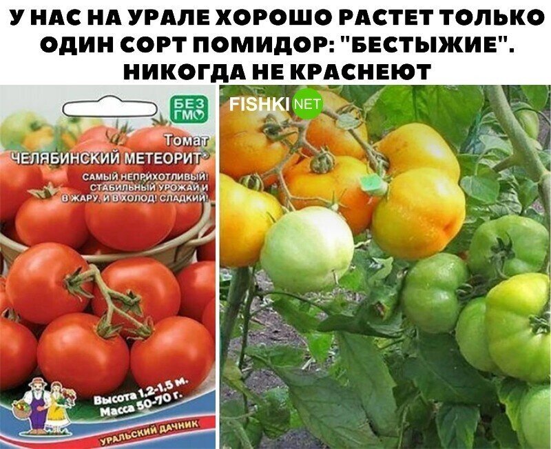 Смешные и познавательные картинки