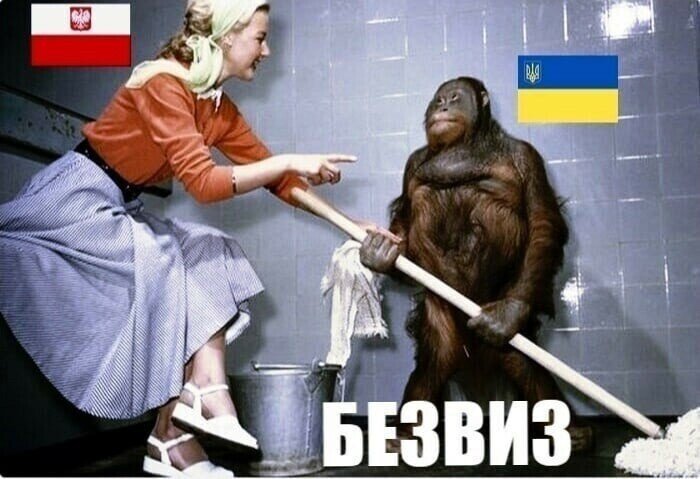 О политике и не только