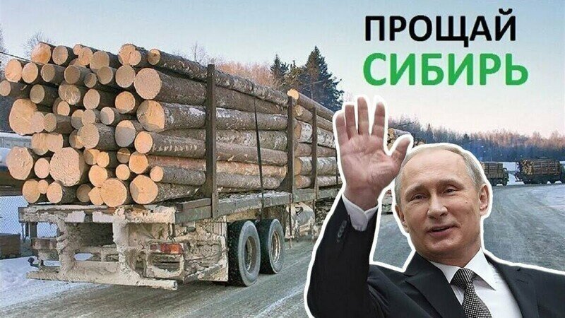 Либеральные сказки про русский лес