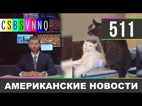 Американские новости 511