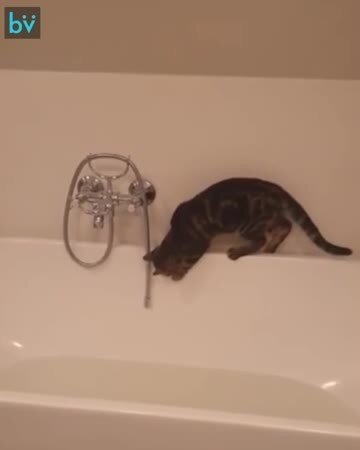 Когда держишь путь строго по навигатору