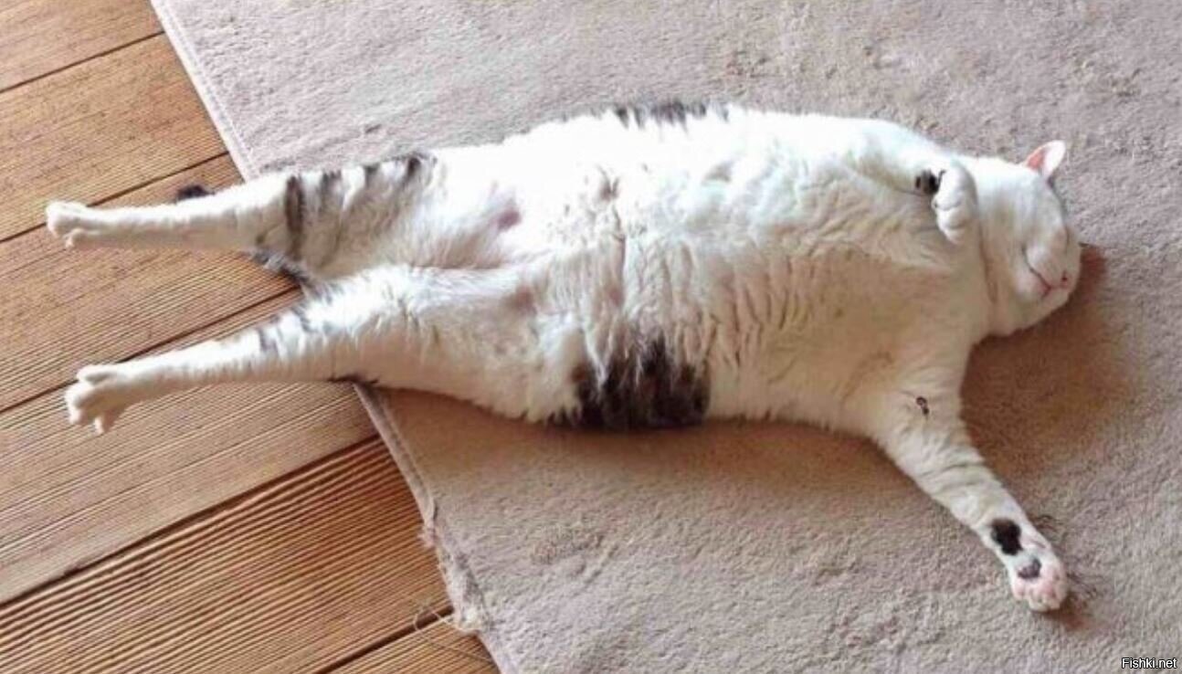 Бать, тебе нормально