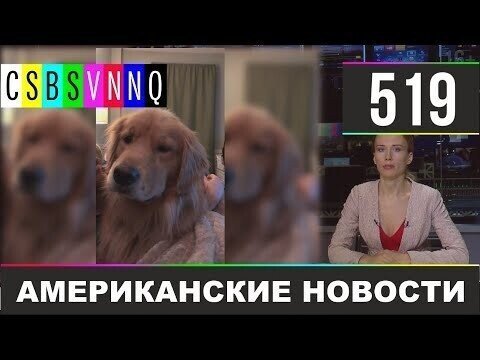 Американские новости 519