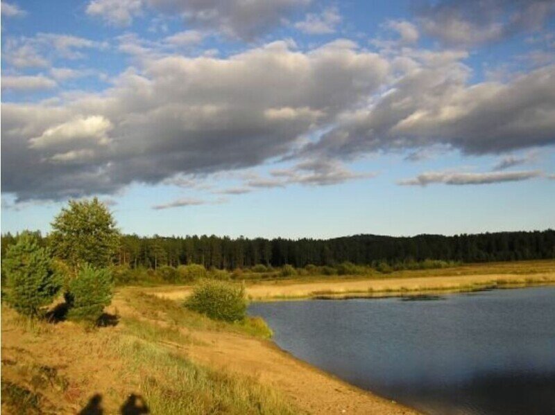 Самоволочка. Случай в армии