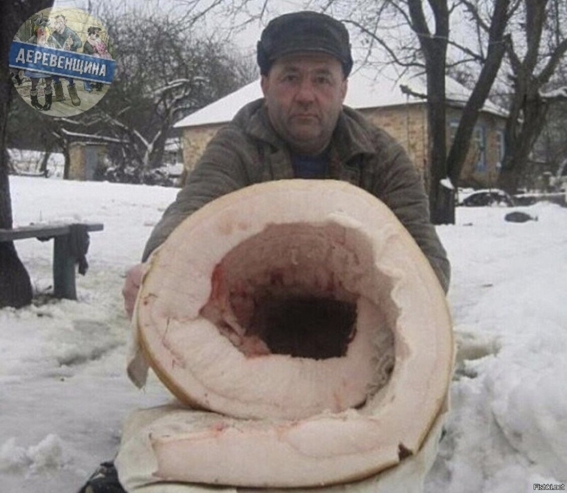 Челябинские Роллы