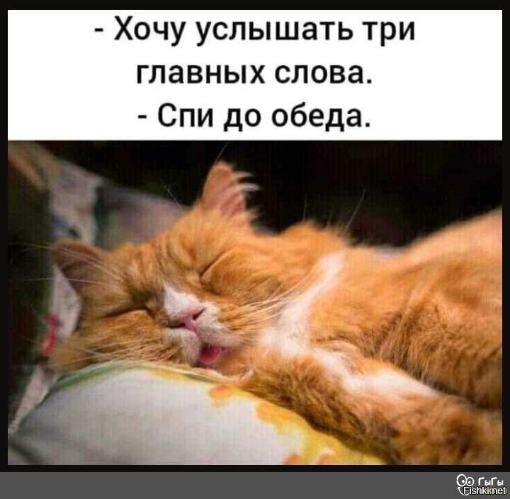 Пора вставать