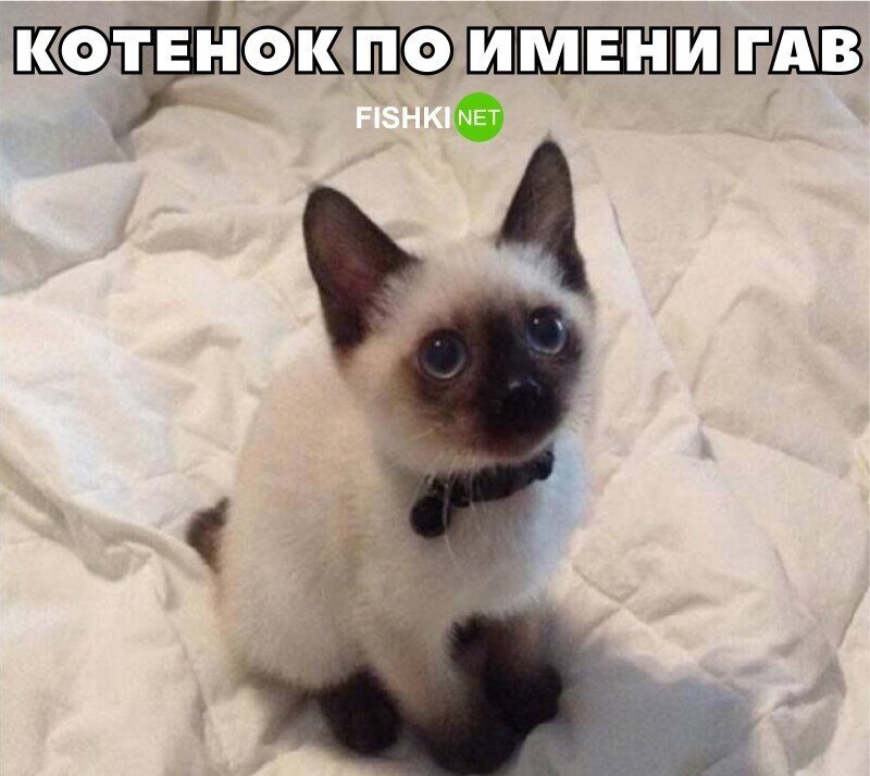 Весёлые Картинки. Часть 20