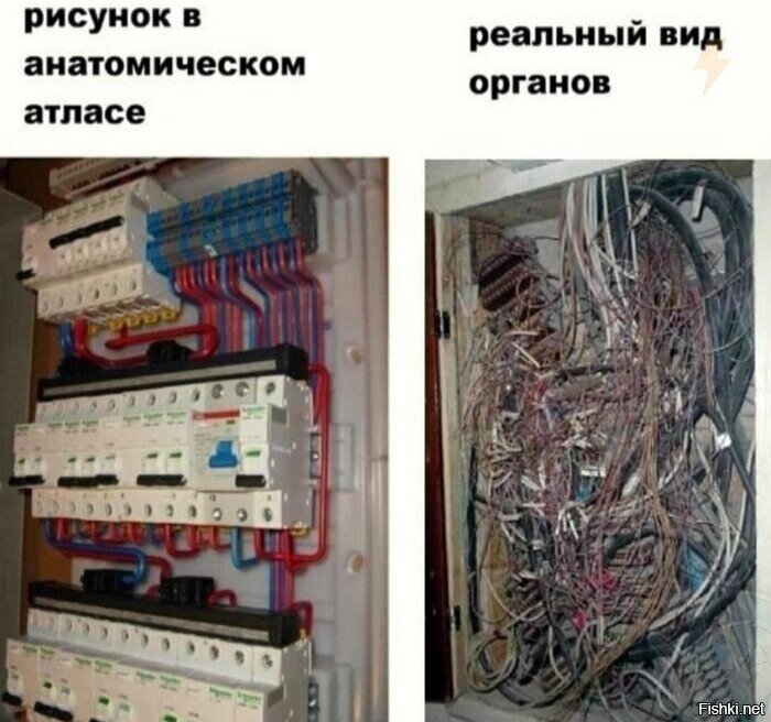 Солянка
