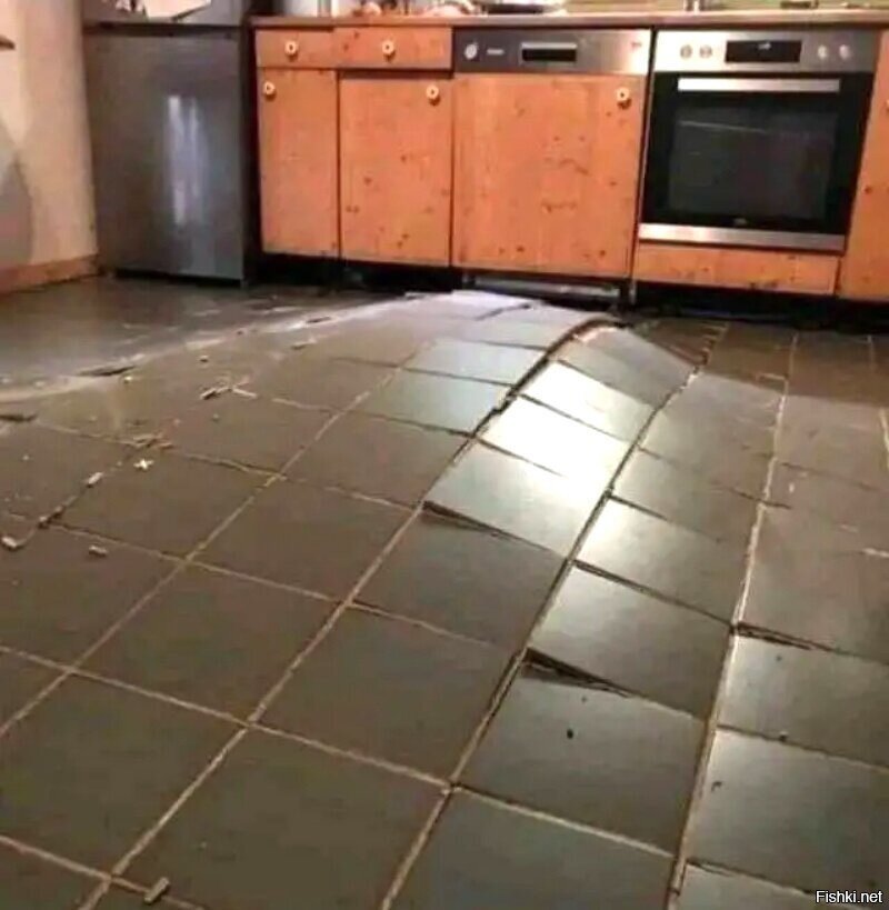 Дрожь земли