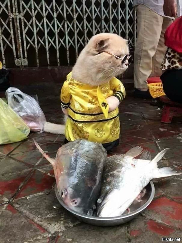 - Где очередь &quot;напосмотреть&quot;