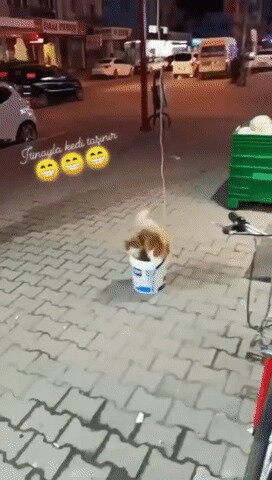 Персональный лифт