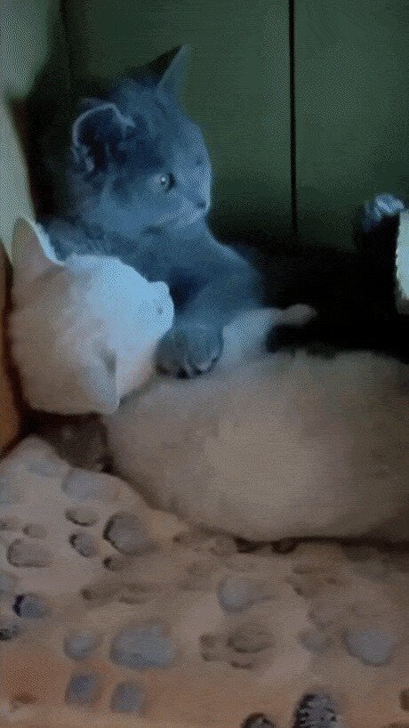 Оксана