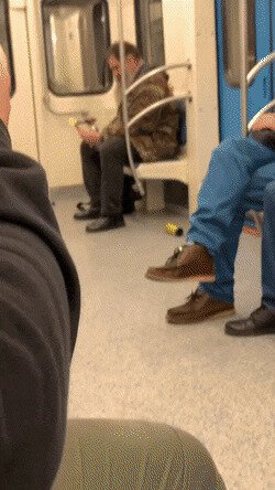 не успел позавтракать