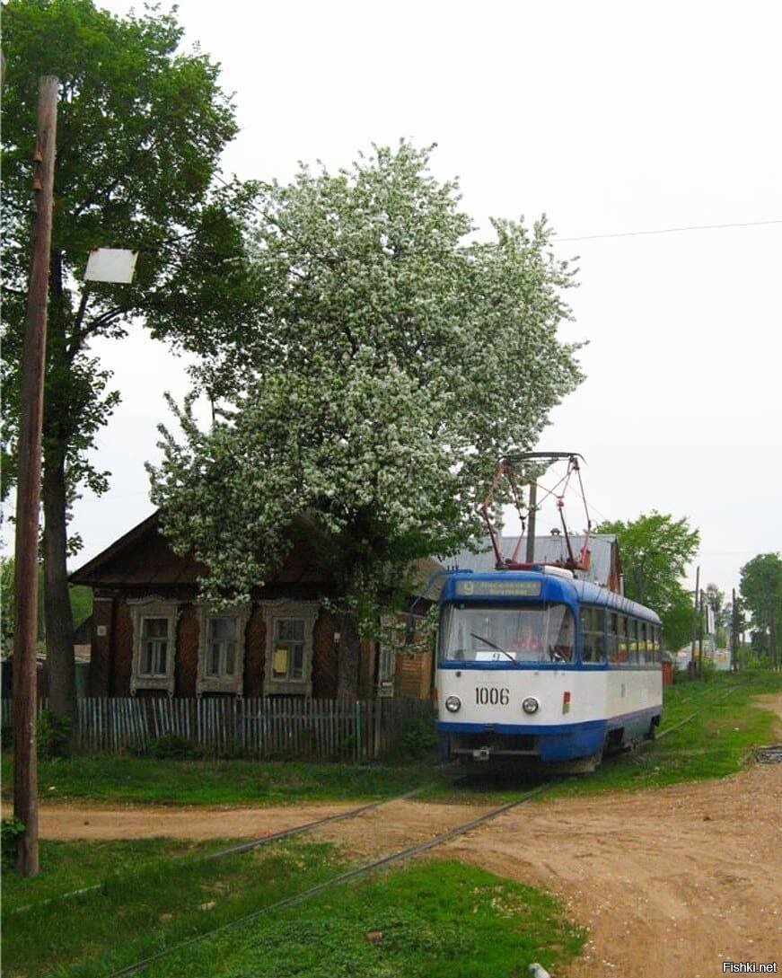Солянка