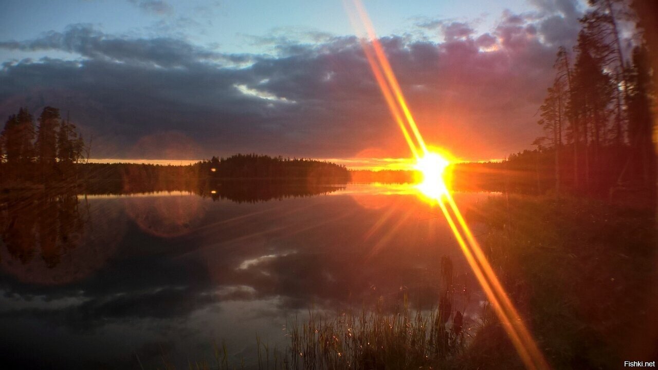 можно я буду спать