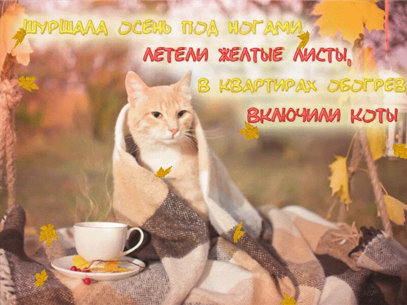Доброе утро:)