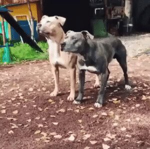 Синхронно