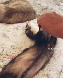 всё проснулись