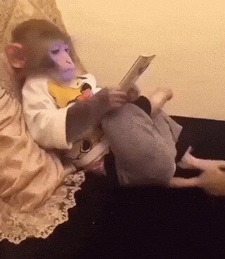 - Нуштош, полистаем солянку