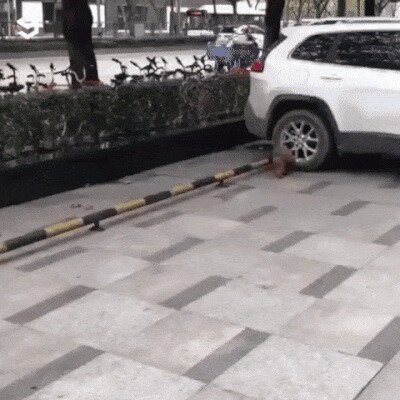 Неуемный